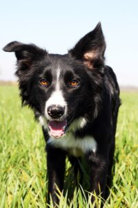 働きやすい病院への看護師転職を成功させるためのポイントは？