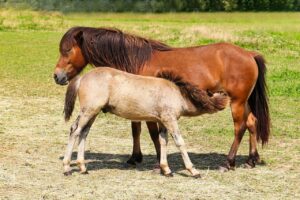 育児と両立しながら看護師が転職する際のポイントは？