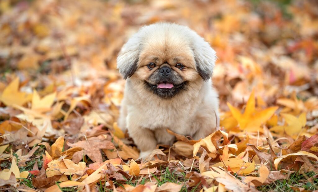 看護師が残業なしで働くための職場選びのポイントは？