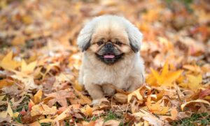 看護師が残業なしで働くための職場選びのポイントは？